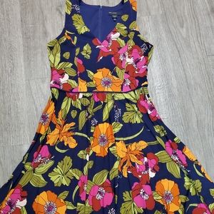 Maggy London Fit And Flare Pleated Dress 12